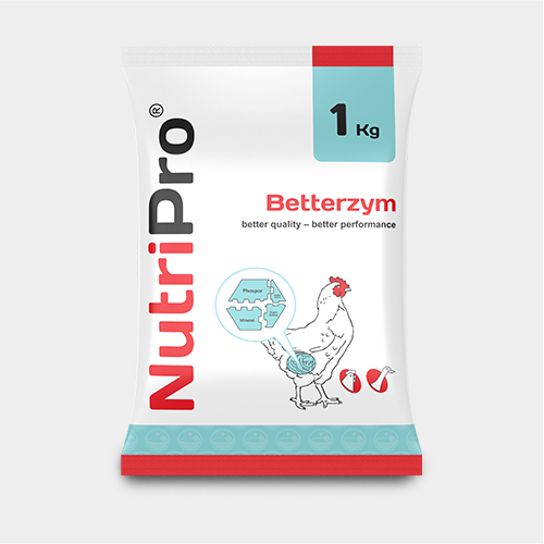Nutripro Betterzym 1000 Gram Medion