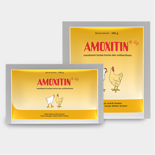 Amoxitin NF 100 Gram Medion