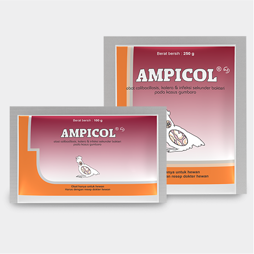 Ampicol NF 250 Gram Medion